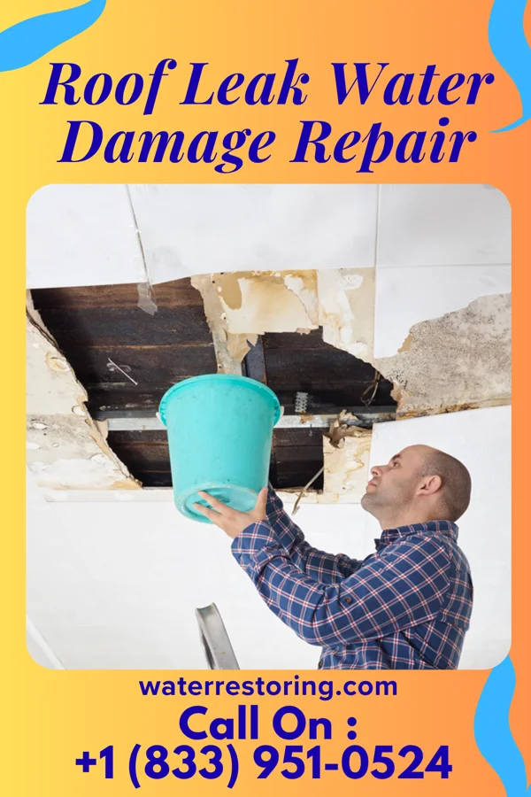 Roof Leak Water Damage Repair in Englevale, ND